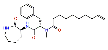 Ciliatamide A